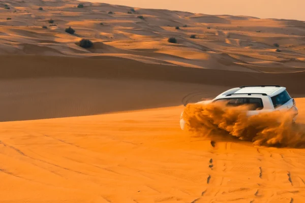 Safari